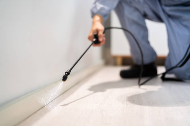 Licensed Termite Control service in Brunswick, MD - Nex Pest Control