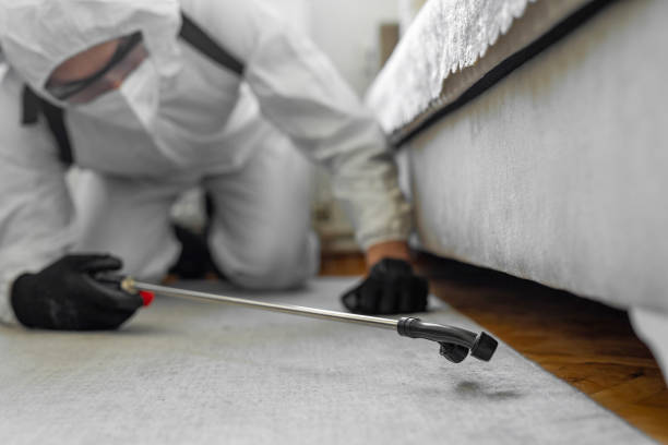 Professional Termite Control technician working in Brunswick, MD