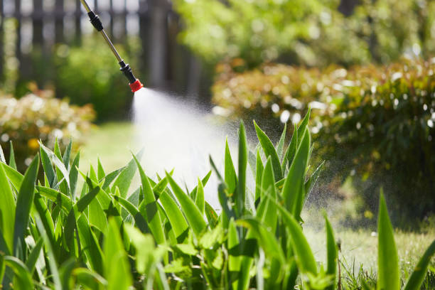 24/7 Emergency Termite Control experts in Brunswick, MD