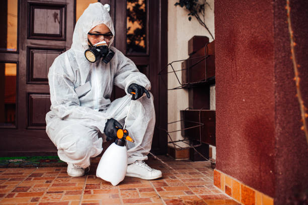 Reliable Termite Control contractor in Brunswick, MD by Nex Pest Control
